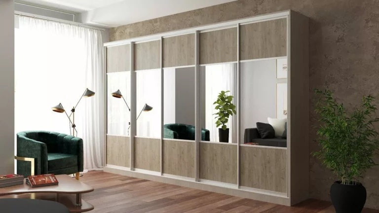 shkaf_kupe_ekonom_tigan