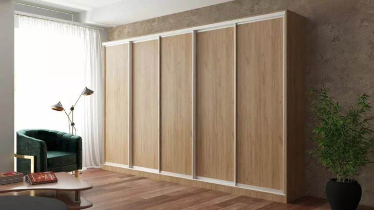 shkaf_kupe_nedorogoj_dag