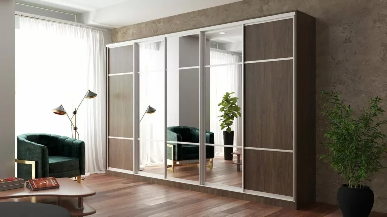 shkaf_kupe_po_individualnym_razmeram_nedorogoj_ejdzha