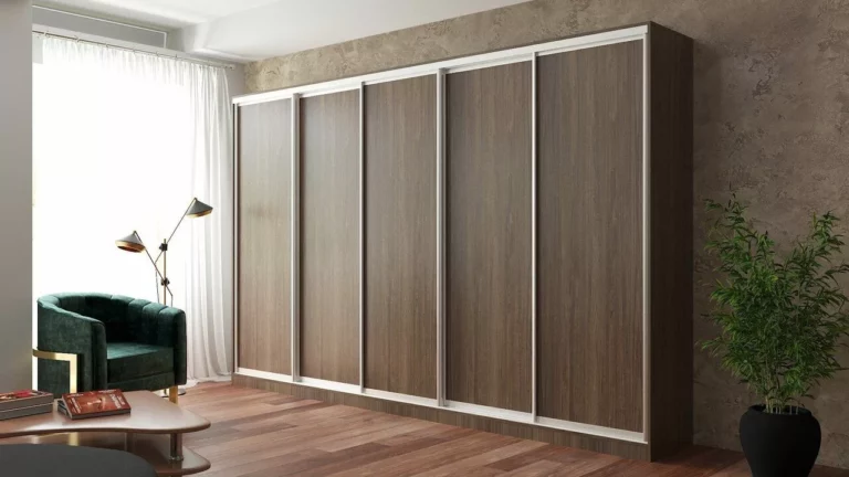 shkaf_kupe_v_prihozhuyu_na_zakaz_milona